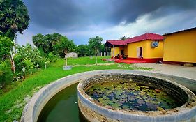 Kaia - Farm Stay & Garden Cafe - Free Fishing